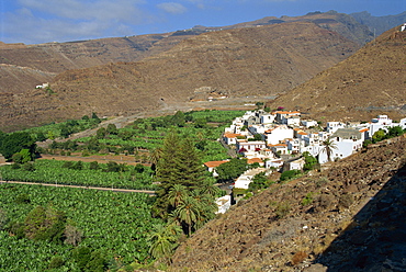 Houses beside banana plantations, Santiago, La Gomera, Canary Islands, Spain, Atlantic Ocean, Europe