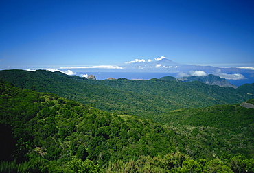 Garajonay National Park, UNESCO World Heritage Site, with island of Tenerife in background, La Gomera, Canary Islands, Spain, Atlantic, Europe