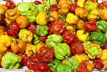 Close-up of peppers for sale on a food stall, Arima, Trinidad, West Indies, Caribbean, Central America