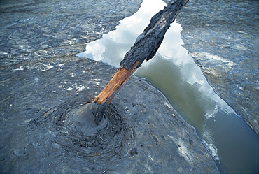 The world's largest natural pitch lake, 90 meters deep, Trinidad, West Indies, Caribbean, Central America