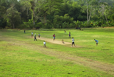 Playing cricket, Tobago, West Indies, Caribbean, Central America