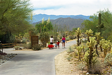 Information park called The Living Desert, Palm Springs, California, United States of America, North America