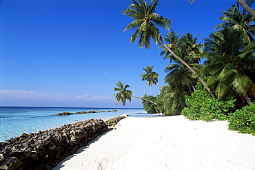 Nakatchafushi, Maldives, Indian Ocean, Asia