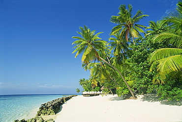 Nakatchafushi, Maldive Islands, Indian Ocean, Asia