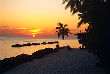 Nakatchafushi, Maldive Islands, Indian Ocean, Asia