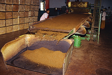 Tea factories, Nuwara Eliya area, Sri Lanka, Asia