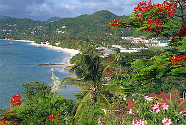 Grand Anse Beach, Grenada, Windward Islands, West Indies, Caribbean, Central America