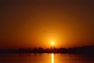 Sunset on the Nile, Luxor, Egypt, North Africa, Africa