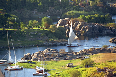 Felucca on the Nile at Aswan, Egypt, North Africa, Africa