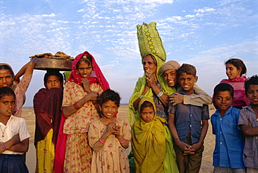 Gathering dung for cooking fires, near Khimsar village, Rajasthan state, India, Asia