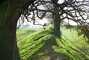 Offa's Dyke, Denbighshire, Wales, United Kingdom, Europe