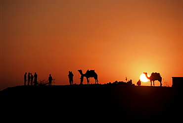 The Sam Sand Dunes at dusk, near Jaisalmer, Rajasthan state, India, Asia