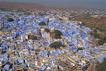 View from fort of blue houses of Brahmin caste residents of city, Jodhpur, Rajasthan state, India, Asia