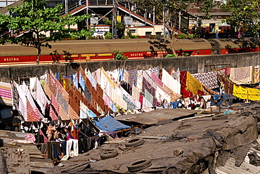 Dhobi or laundry ghats, Mumbai (Bombay), India, Asia