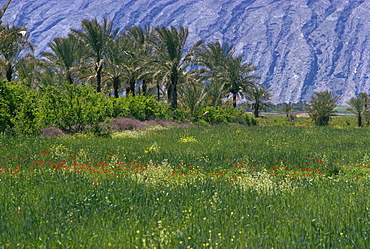 Landscape near Kagerum, Iran, Middle East