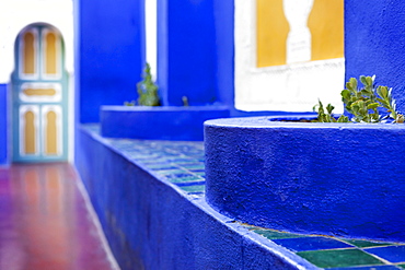 The Majorelle Gardens, Marrakech, Morocco, North Africa, Africa 