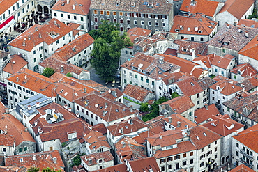 Telephoto view of Kotor Old Town, UNESCO World Heritage Site, Montenegro, Europe 