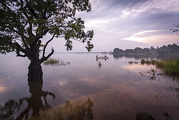 Fishermen return at dusk, Polonnaruwa Lake, Polonnaruwa, Sri Lanka, Asia 