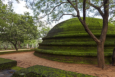 A dome shaped structure in the Kiri Vihara Buddhist temple ruins, Polonnaruwa, UNESCO World Heritage Site, Sri Lanka, Asia 