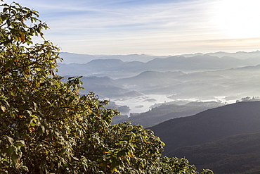 Looking down into the Dalhousie and the Hill Country beyond at sunrise from Adam's Peak (Sri Pada), Sri Lanka, Asia 