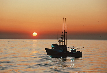 Fishing boat at sunset.USA, Channel Islands, CA