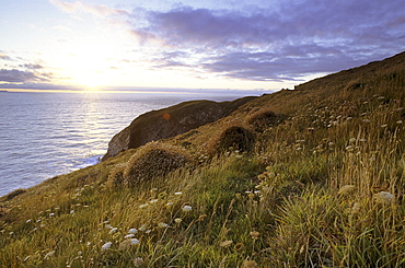 Sunset on the English coast, North Devon, UK