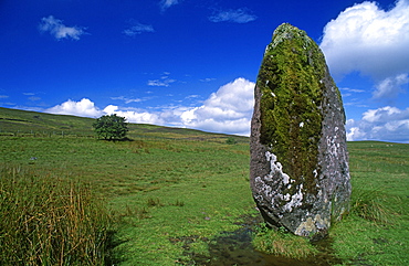 Standing Stone, Brecon Beacons National Park, Wales, UK