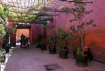 Street activity, Marrakesh, Morocco