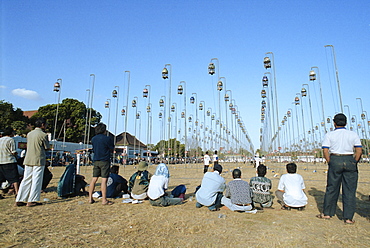 Bird singing competition, Yogyakarta, Java, Indonesia