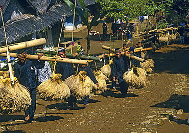 Kasepuhan musicians carrying rice bundles at annual rice festival Seren Tahun, West Java, Indonesia