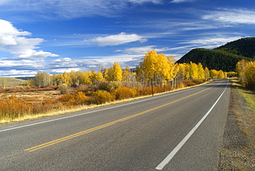 American highway through Grand Teton National Park, Wyoming, USA