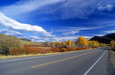 Empty highway, Grand Teton National Park, Wyoming, USA