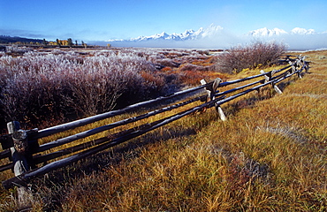 Picket fence and Teton Mountain range, Grand Teton National Park, Wyoming, USA