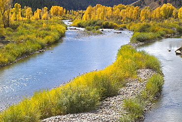 Snake River in the autumn, Wyoming, USA