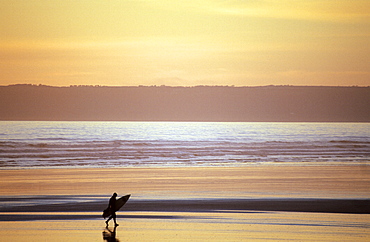 Silhouette of surfer on beach at sunset, Devon, UK