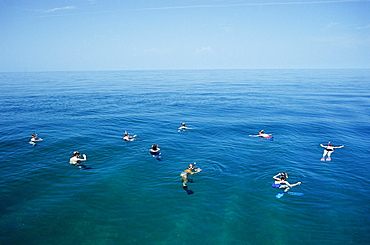 Group of dolphin watchers relaxing after encounter with some spotted dolphins.
Bimini, Bahamas