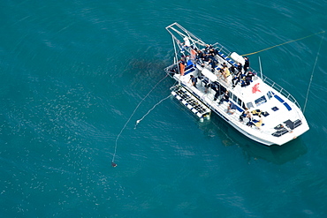 Aerial of shark diving tourist boat with chum on lines.  Walker Bay, South Africa