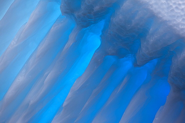 Blue Iceberg floating in the Antarctic peninsula