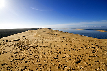 Pilat Dune in Test-de-Buch, at 110 m high, the highest sand dune in Europe, Nouvelle Aquitaine, France, Europe