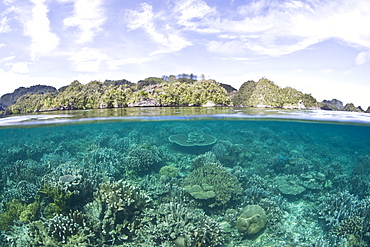 Coral reef and limestone islands.  Misool, Raja Ampat, Papua, Indonesia, Pacific Ocean.