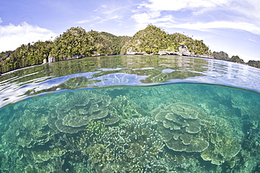 Coral reef and limestone islands.  Misool, Raja Ampat, Papua, Indonesia.  More info:  This region is called the heart of marine biodiversity.