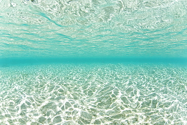 White sand reflecting bright sunlight in shallow water.  Palau, Micronesia, Pacific Ocean.