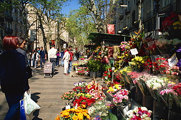 Las Ramblas flower stall, Barcelona, Catalonia, Spain, Europe