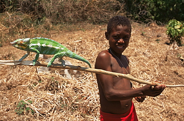 Boy with chameleon, Nosy Be, Madagascar, Africa