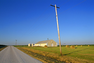 Telegraph pole and flat farm landscape with barn, in Hudson, Midwest, Illinois, United States of America, North America