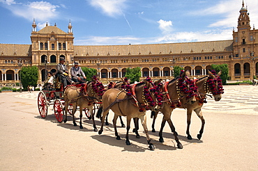 Horses and trap in the Plaza de Espana, in Seville, Andalucia, Spain, Europe