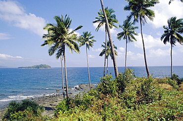 Coastal scene, the Andaman Islands, Bay of Bengal, India