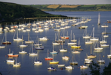 Yachts at anchorage, Falmouth, Cornwall, England, United Kingdom, Europe