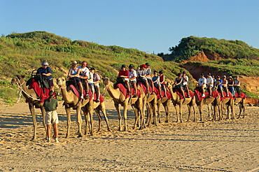 Camel rides, Cable Beach, Broome, Kimberley, Western Australia, Australia, Pacific