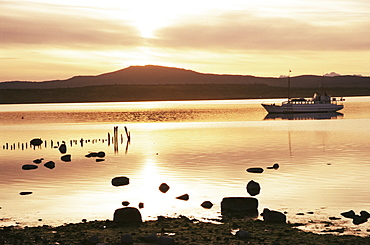 Puerto Natales, Magallanes, Chile, South America